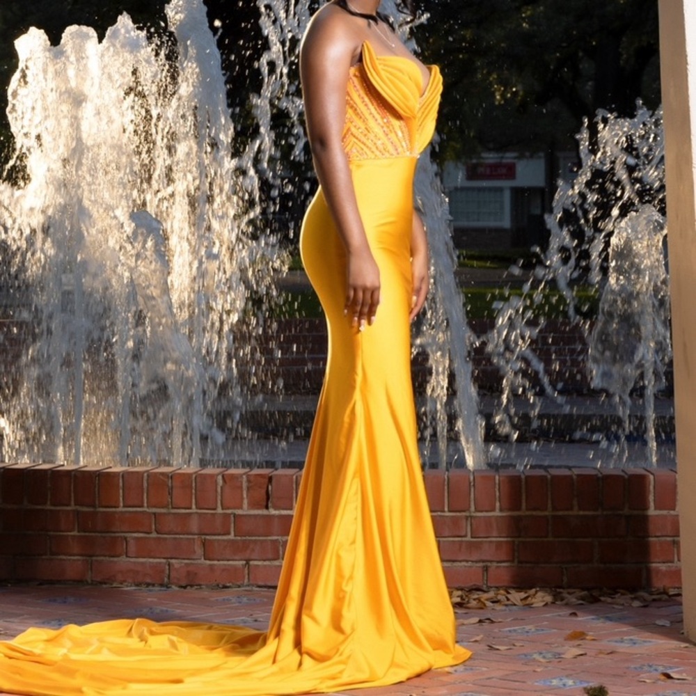 Albina Dyla Dress - Picture 4 of 4